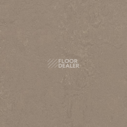 Линолеум Forbo Marmoleum Decibel on Order 370935 silt фото 1 | FLOORDEALER